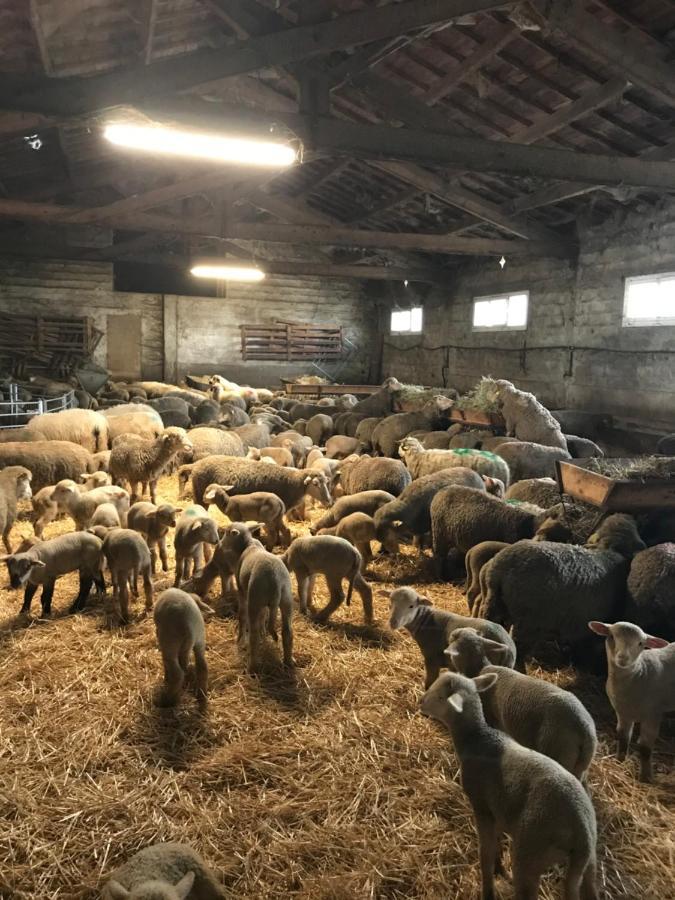 Studio A La Ferme Villa Arles Kültér fotó