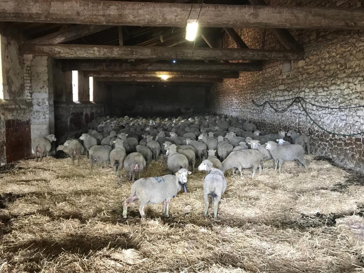 Studio A La Ferme Villa Arles Kültér fotó